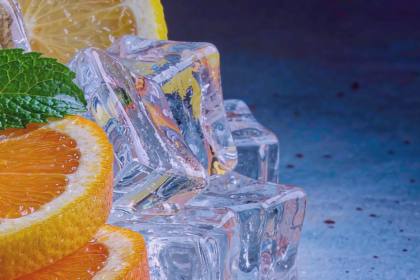 Reorder Cycles for Importers — OEM Egypt Night Icy Vape